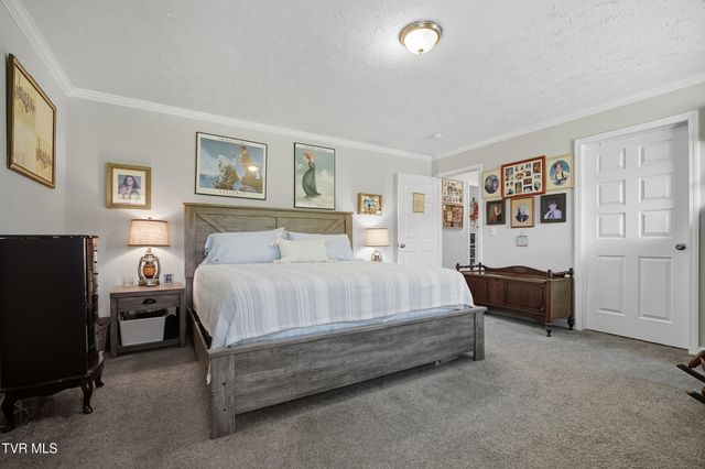 470 Roaming Drive, Chuckey, TN 37641