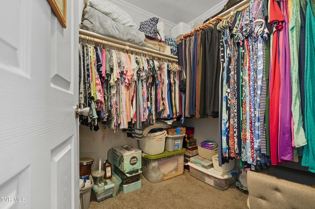 470 Roaming Drive, Chuckey, TN 37641