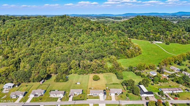 470 Roaming Drive, Chuckey, TN 37641