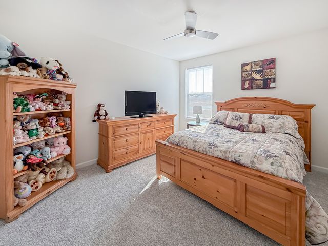 12431 Eileen Street, Lemont, IL 60439