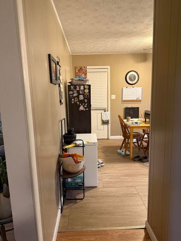 456 Pigskin Road, Stearns, KY 42647