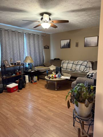 456 Pigskin Road, Stearns, KY 42647