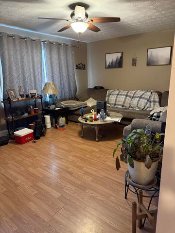 456 Pigskin Road, Stearns, KY 42647