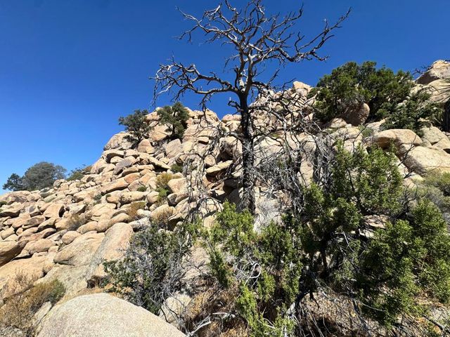 5990 Acoma Trail, Yucca Valley, CA 92284