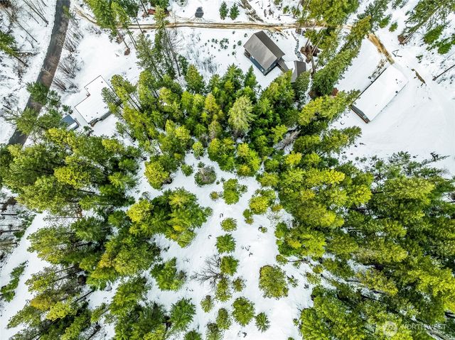 56 White Fir Lane, Leavenworth, WA 98826