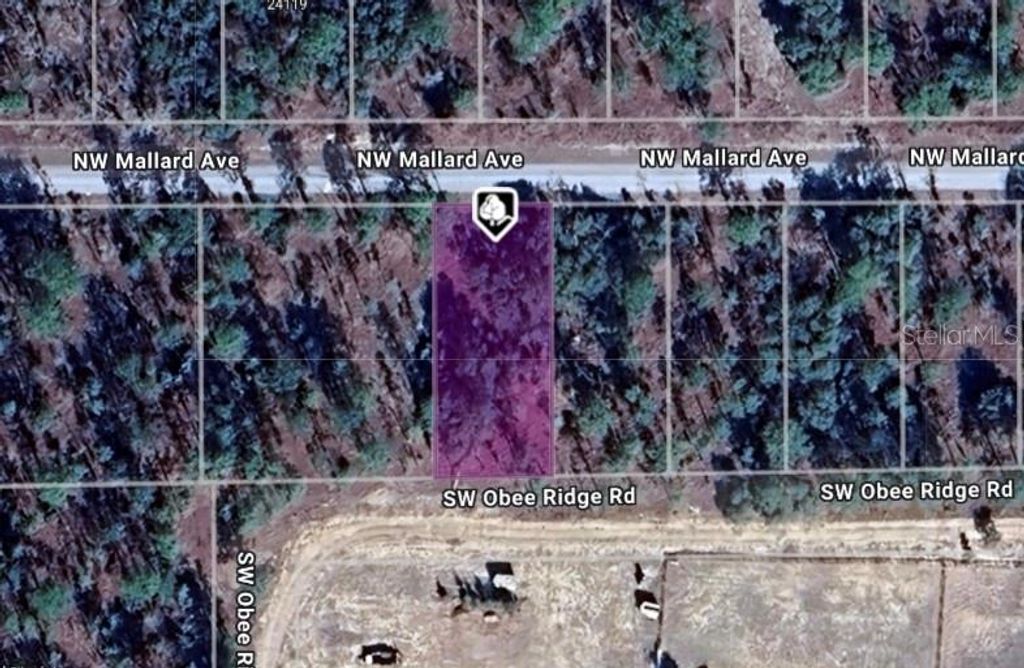 LOT 27 NW MALLARD AVENUE, Dunnellon, FL 34431