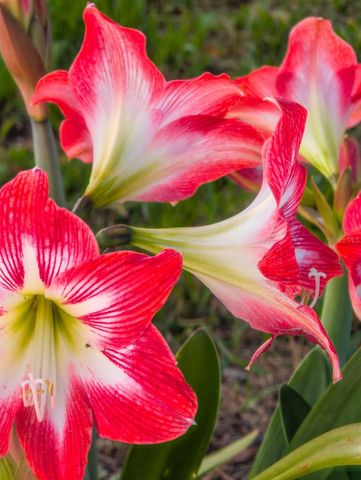 9436 PALM AVENUE, Port Richey, FL 34668