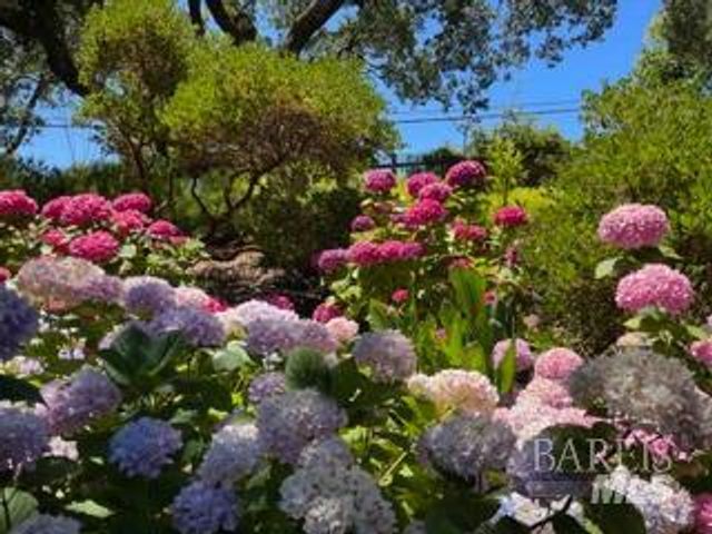 160 Crest Rd, Novato, CA 94945