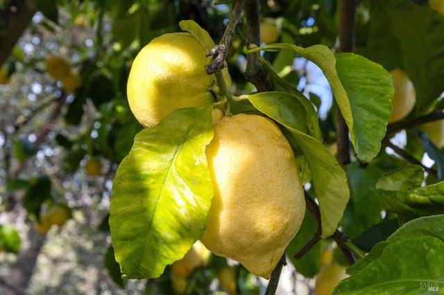 160 Crest Rd, Novato, CA 94945