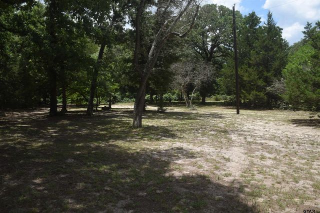 976 E WATER TOWER RD, Big Sandy, TX 75755
