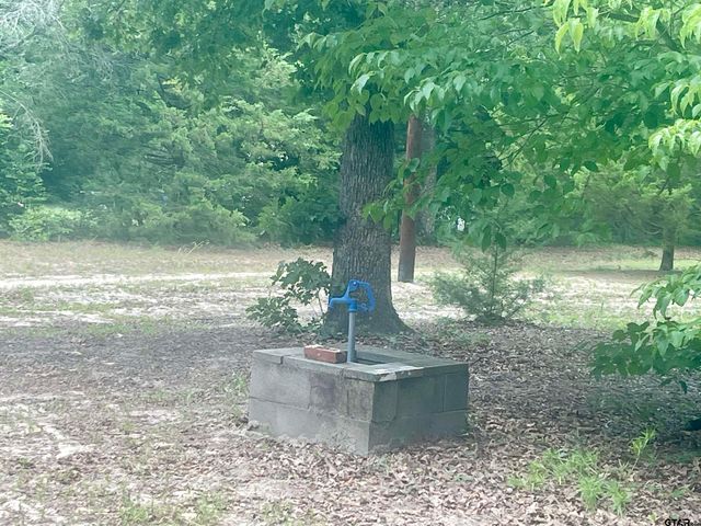 976 E WATER TOWER RD, Big Sandy, TX 75755