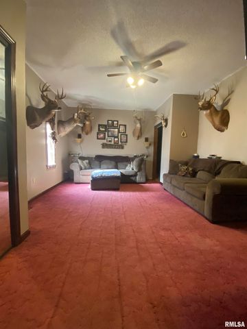 842 Flinn Road, Franklin, IL 62638