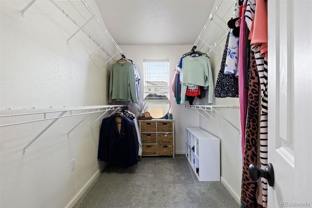 21770 Unbridled Avenue, Parker, CO 80138