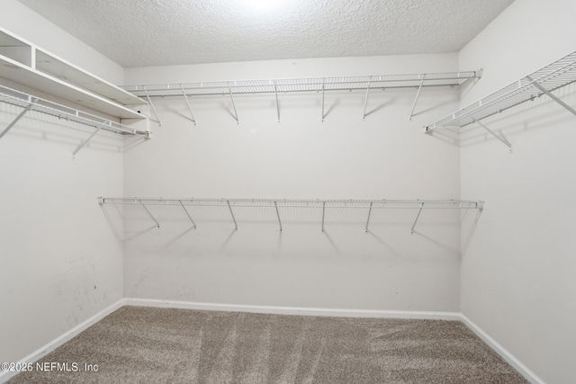 3933 VICTORIA LAKES Drive S, Jacksonville, FL 32226