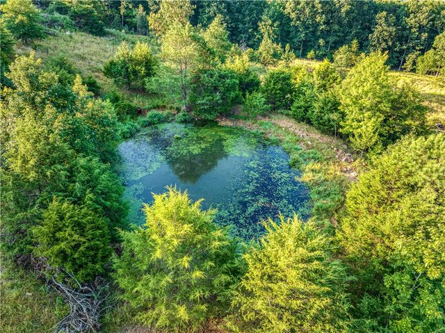 556 NC 5000, Pelsor, AR 72856