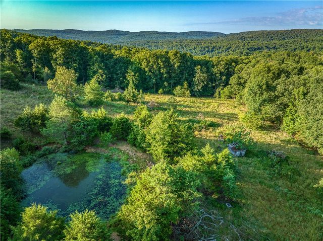 556 NC 5000, Pelsor, AR 72856