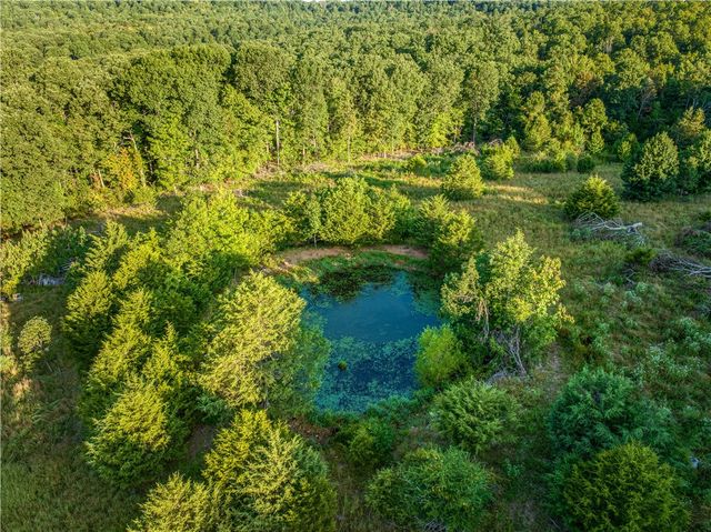 556 NC 5000, Pelsor, AR 72856