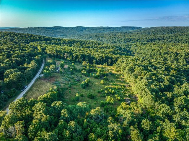 556 NC 5000, Pelsor, AR 72856