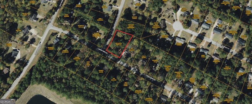 55 Hidden Pines Drive, Covington, GA 30016