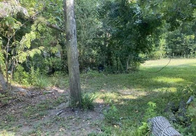 203 Cedar Circle, Daisetta, TX 77357