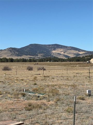 1925 Doe Valley Road, Guffey, CO 80820