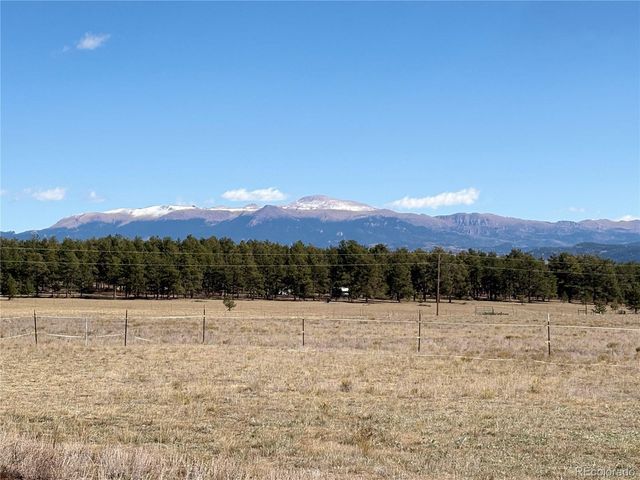 1925 Doe Valley Road, Guffey, CO 80820