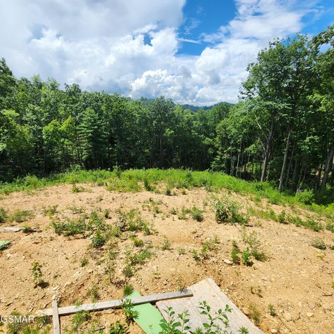 1970 Spurling Road, Sevierville, TN 37876