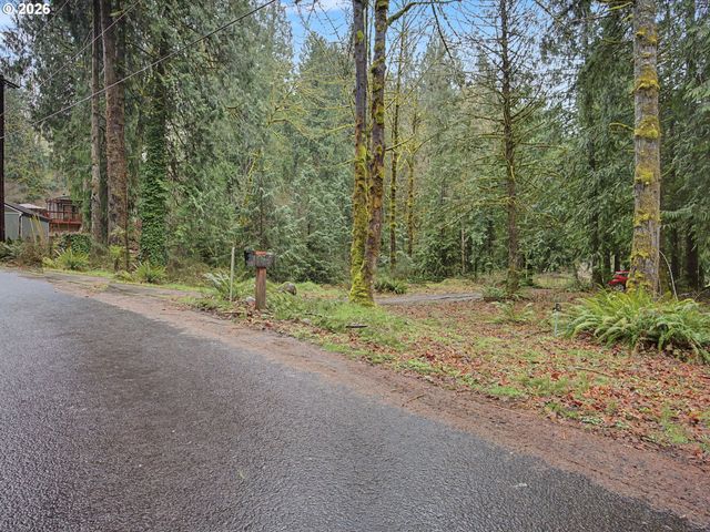 41180 Se KUBITZ Rd, Sandy, OR 97055