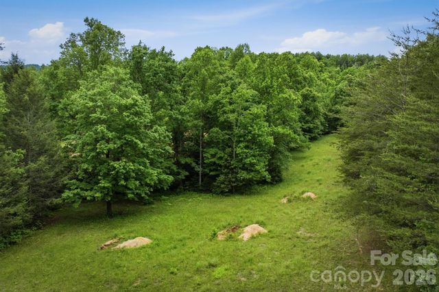 1350 Lavender Road, Old Fort, NC 28762