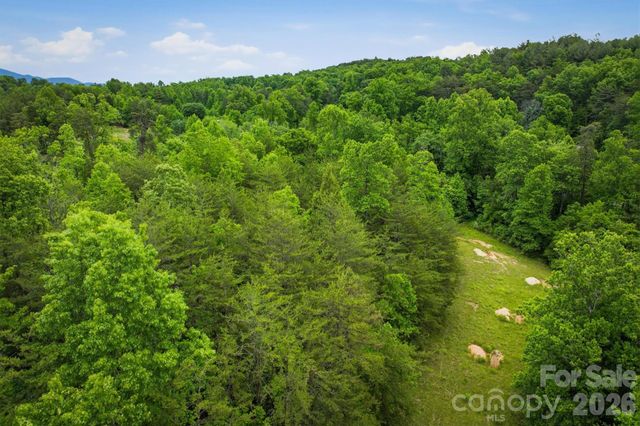 1350 Lavender Road, Old Fort, NC 28762