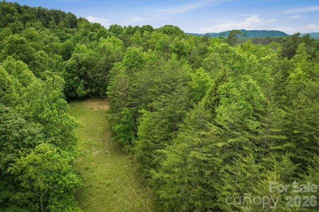 1350 Lavender Road, Old Fort, NC 28762