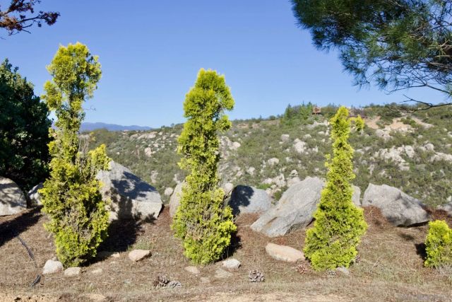 41482 Rocky Ridge Ct., Aguanga, CA 92536