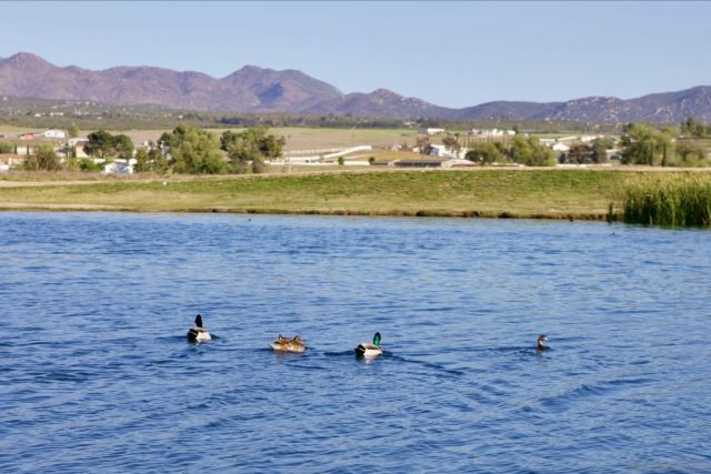 41482 Rocky Ridge Ct., Aguanga, CA 92536