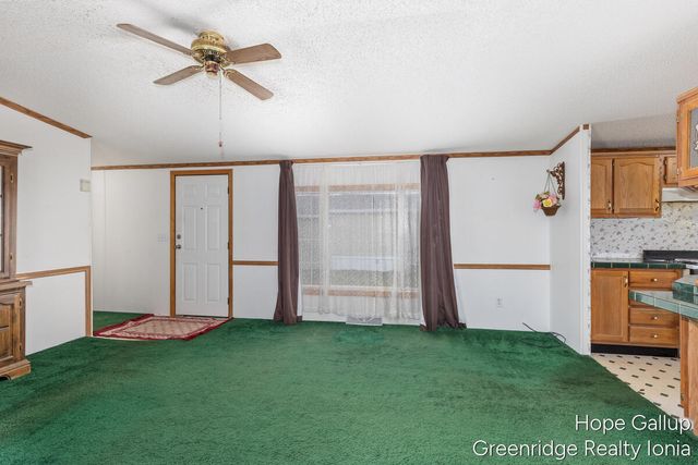 360 E Tuttle Road 183, Ionia, MI 48846