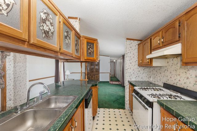 360 E Tuttle Road 183, Ionia, MI 48846