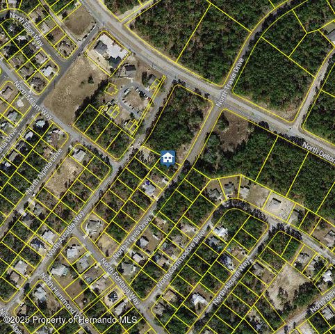 9561 N Travis Drive, Dunnellon, FL 34434