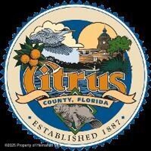 9561 N Travis Drive, Dunnellon, FL 34434