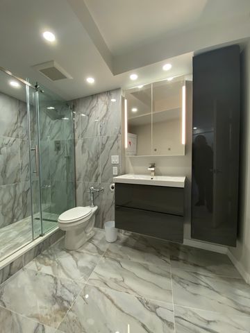 300 N State Street 3834, Chicago, IL 60654