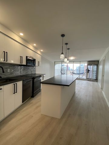 300 N State Street 3834, Chicago, IL 60654