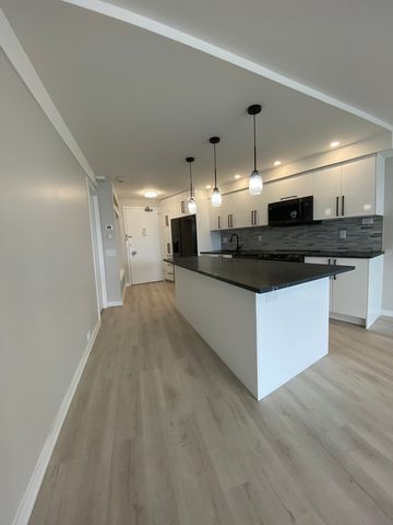 300 N State Street 3834, Chicago, IL 60654