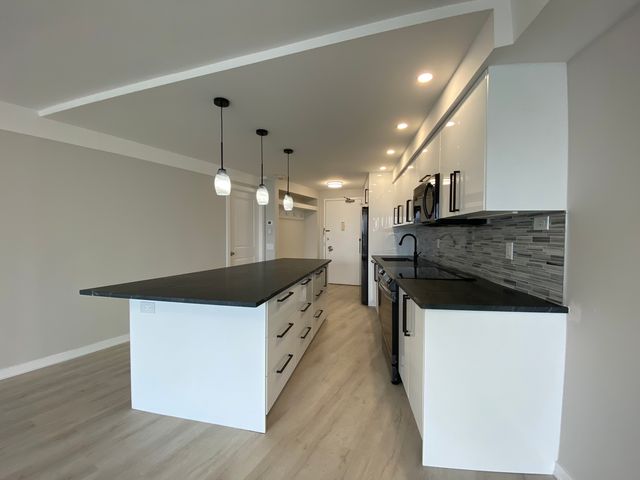 300 N State Street 3834, Chicago, IL 60654