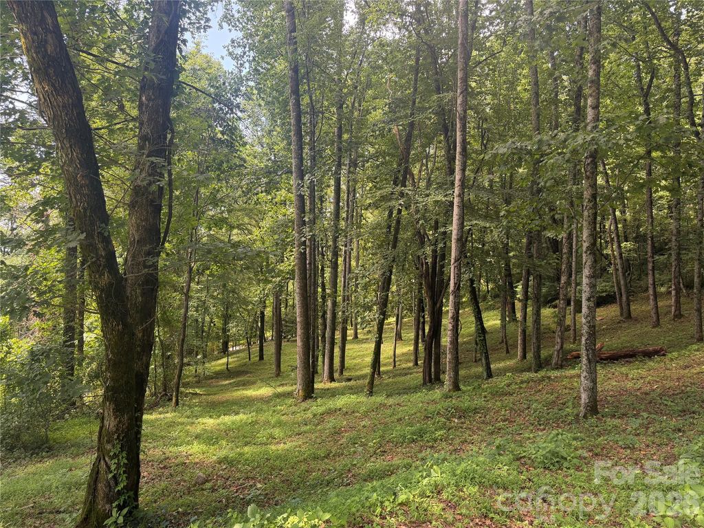 89 Split Rock Trail 56, Arden, NC 28704