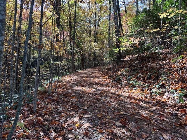 TBD Atoah Loop, Murphy, NC 28906