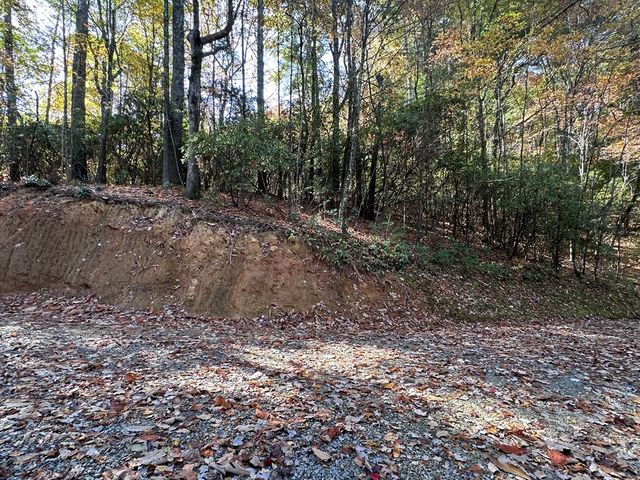 TBD Atoah Loop, Murphy, NC 28906