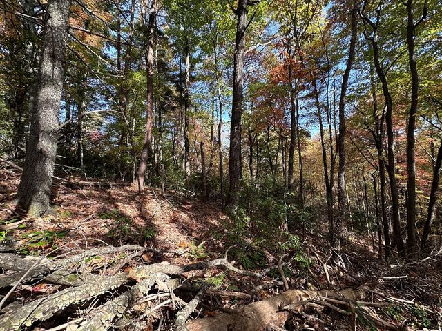 TBD Atoah Loop, Murphy, NC 28906