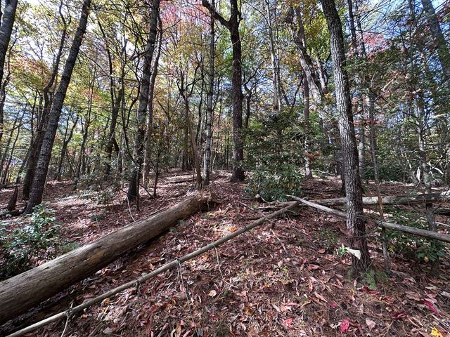 TBD Atoah Loop, Murphy, NC 28906