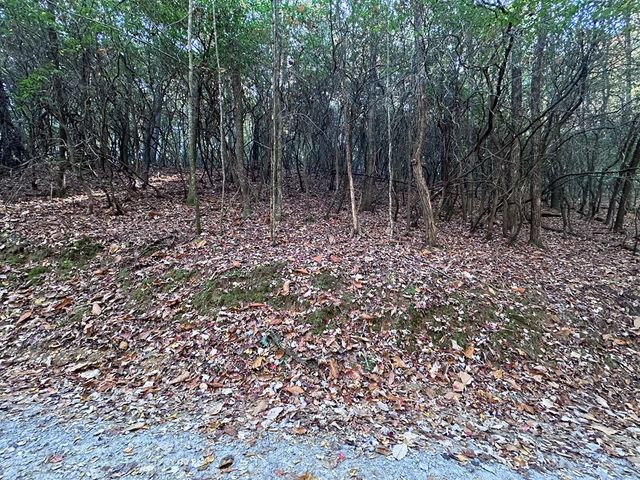 TBD Atoah Loop, Murphy, NC 28906