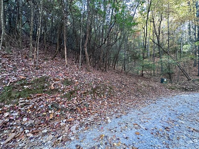 TBD Atoah Loop, Murphy, NC 28906