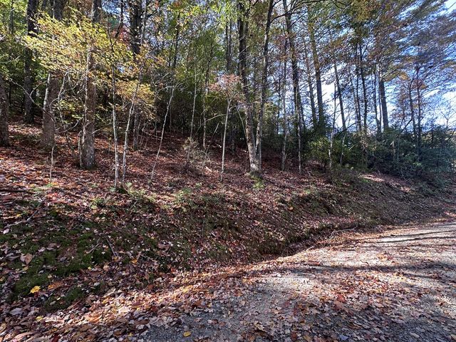 TBD Atoah Loop, Murphy, NC 28906