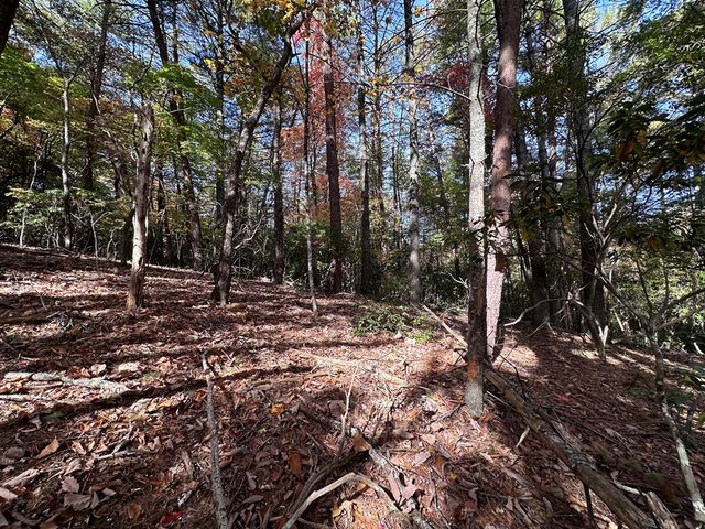 TBD Atoah Loop, Murphy, NC 28906